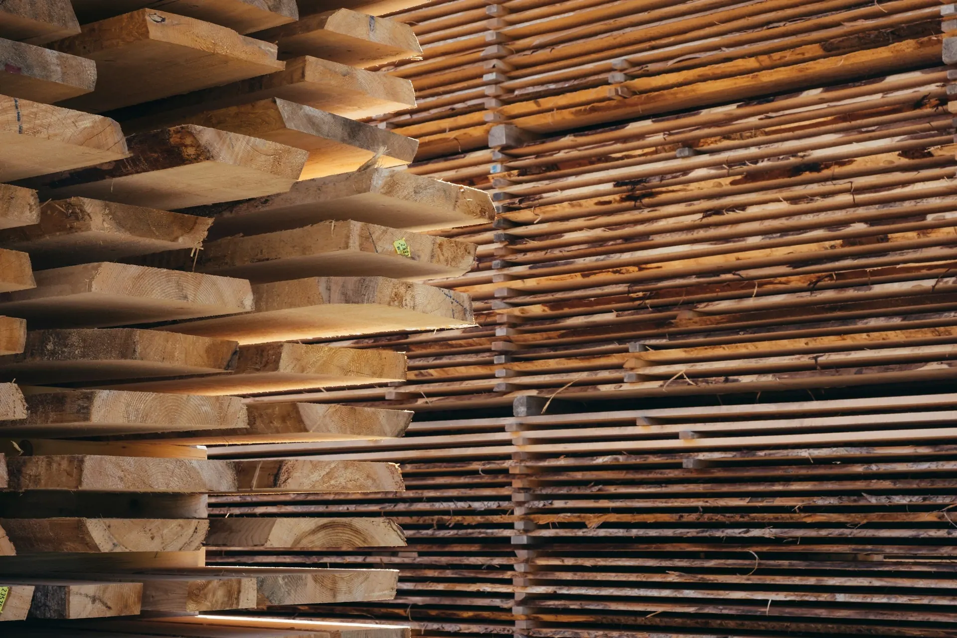 Freshly sawn lumber stickered in layers, the output of the saw before drying